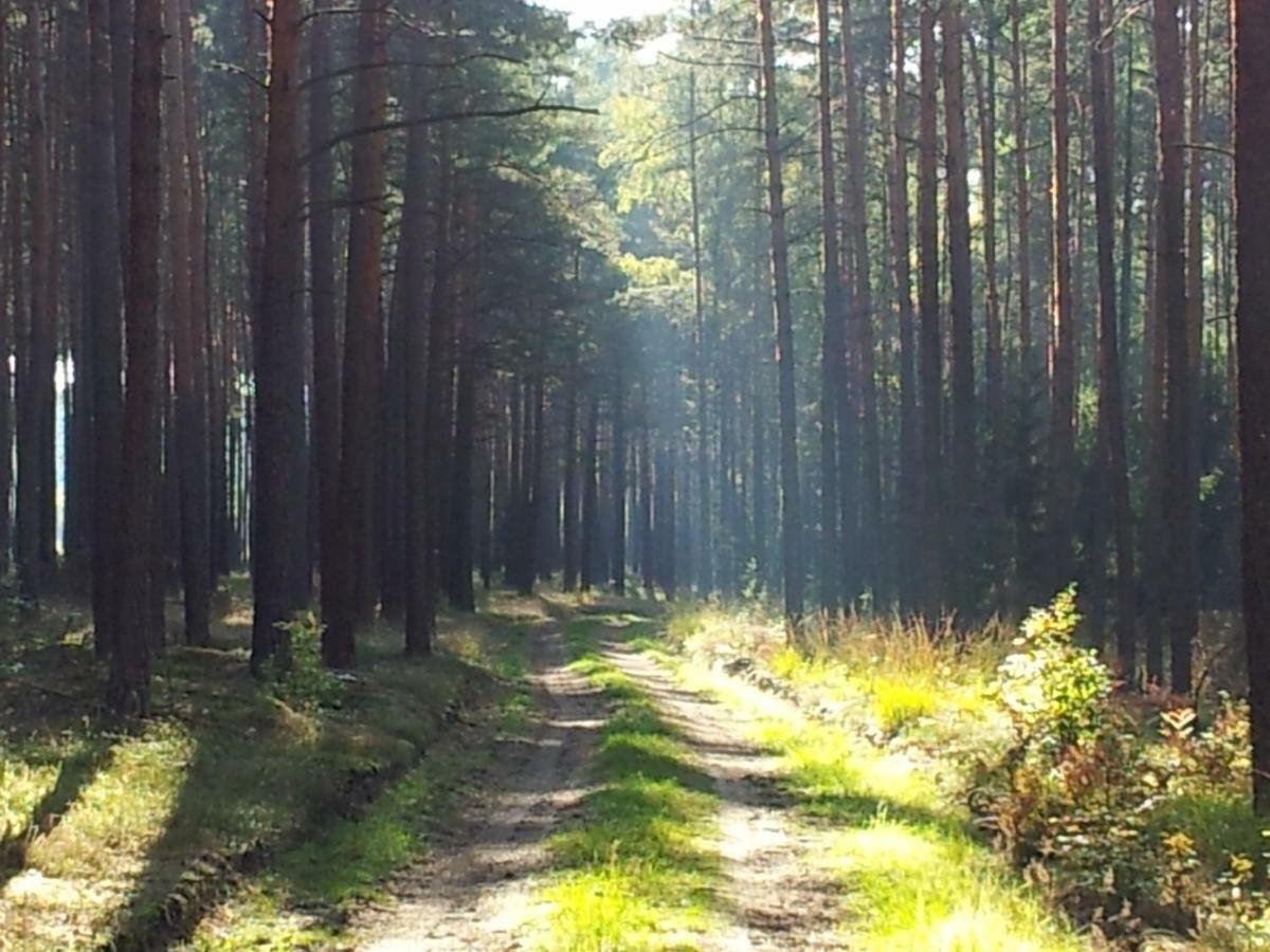 Stawy U Sikory - Dom Rybak - Agroturystyka I Lowisko Nowa Wies  Exterior photo